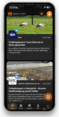 molo App: lokaler Feed